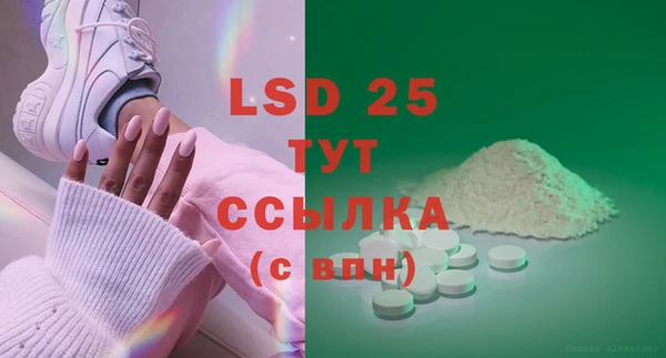 хмурый Верея