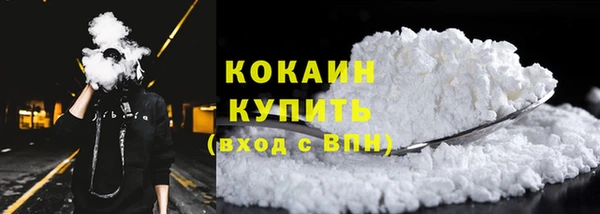 хмурый Верея