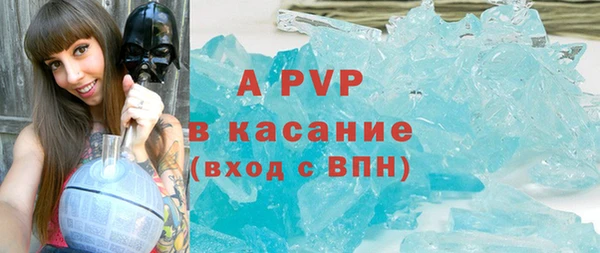 хмурый Верея
