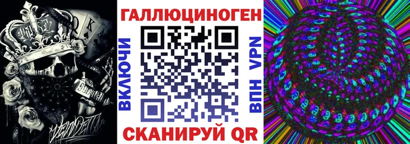 как найти наркотики  Чита  Галлюциногенные грибы мицелий 